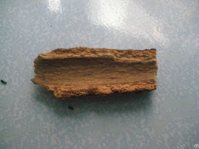 Litsea Glutinosa Peel
