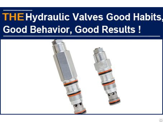 Adhere To 3 Working Habits For 24 Years The Growth Of Aak Hydraulic Valves