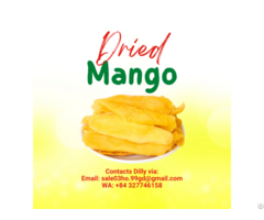 Delicious Dried Soft Mango Healthy Food Made From 100% Natural Material In Vietnam