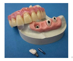 Dental Consumables Zirconia Teeth Pctct