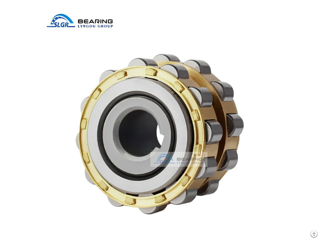 Eccentric Bearing