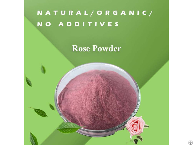 Bulk 20 1 Rose Flower Extract Powder