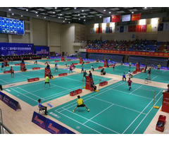 Pvc Removable Badminton Court