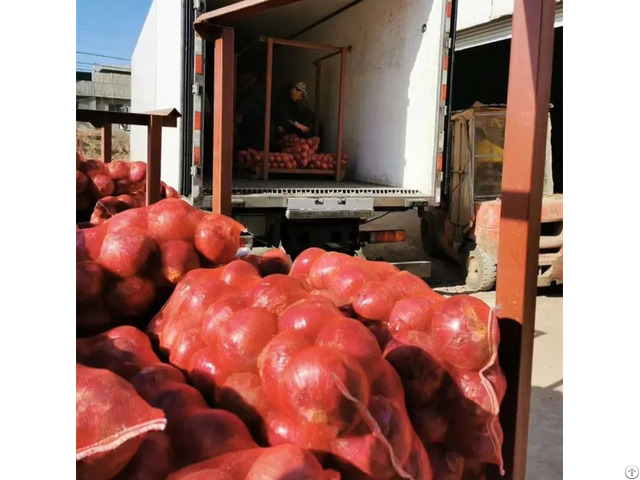 Best Quality Red White And Yellow Onions