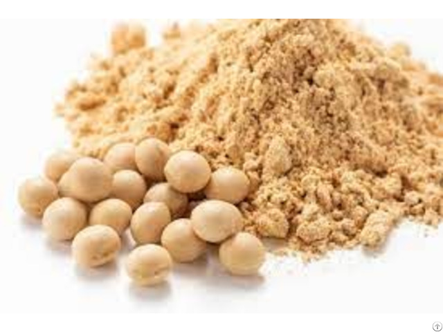 Soybean Meal