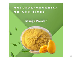 Spray Dried Pure Organic Mango Fruit Extract Powder