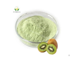Instant Pure Natural Bulk Kiwi Fruit Extract Powder