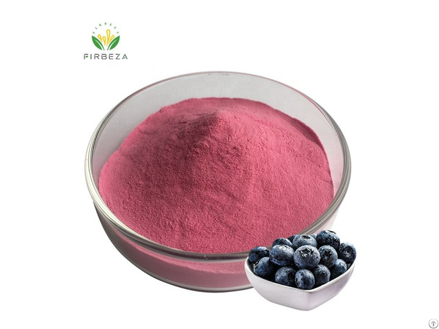 High Quality Blueberry Concentrate Fruit Juice Powder