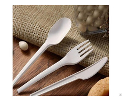 Biodegradable Cutlery Of Bagasse And Pla
