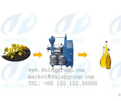 Sunflower Oil Press Machinery