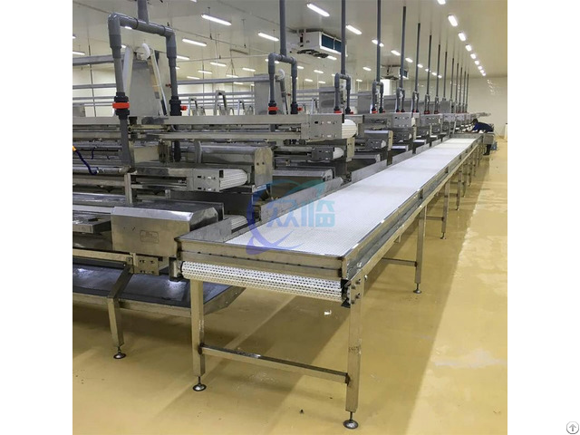 Shrimp Processing Line