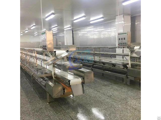 Fish Processing Line