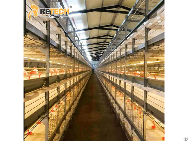 Commercial Broiler Poultry Farm Equipment With Drinker Feeder