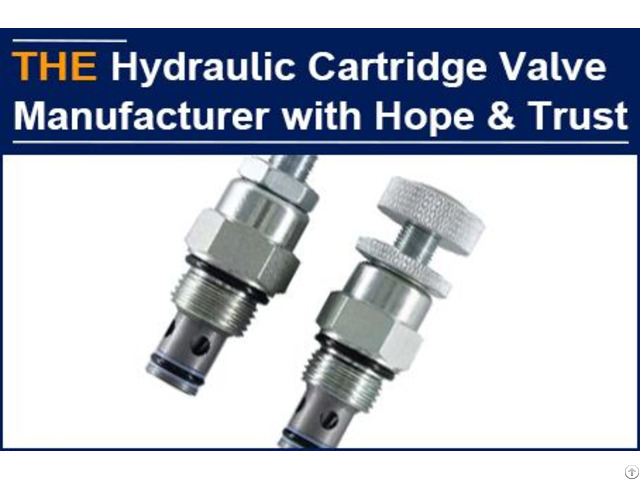 Hydraulic Cartridge Valve Manufacturer With Hope And Trust