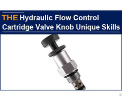 Hydraulic Flow Control Cartridge Valve Knob Unique Skills