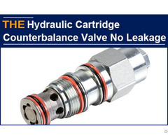 Hydraulic Cartridge Counterbalance Valve No Internal Leakage