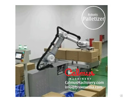 Collaborative Robotic Palletizer
