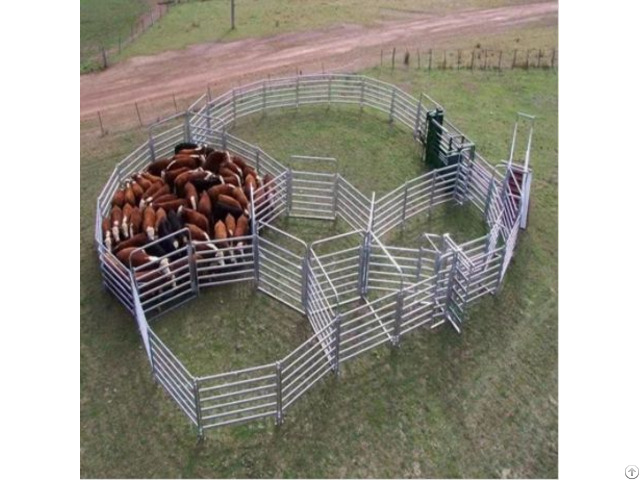 Cattle Fence Supplier