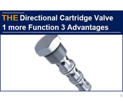 Hydraulic Directional Control Cartridge Valve 1 More Function 3 Advantages