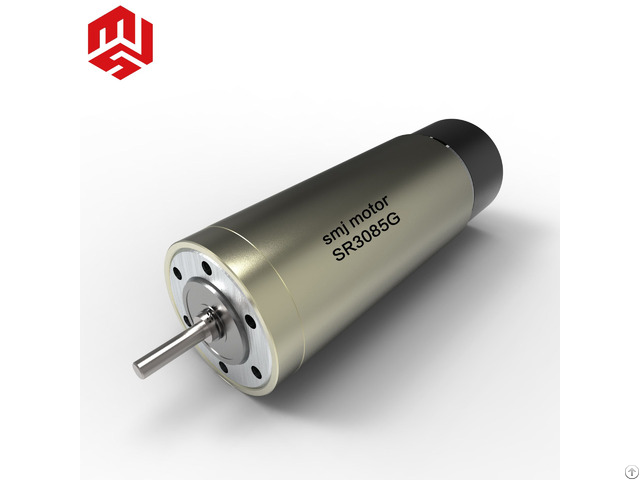 Japanese Factory 24v Diameter 30mm Coreless Dc Motor