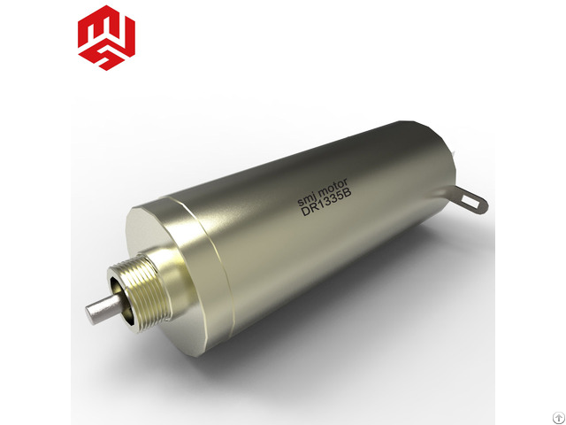 24v Japanese Technology High Quality Low Power Micro Brushed Dc Motor