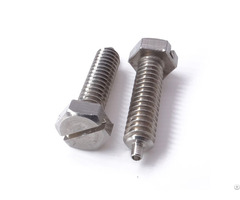 Customized Slotted External Hex Bolts Size Screws