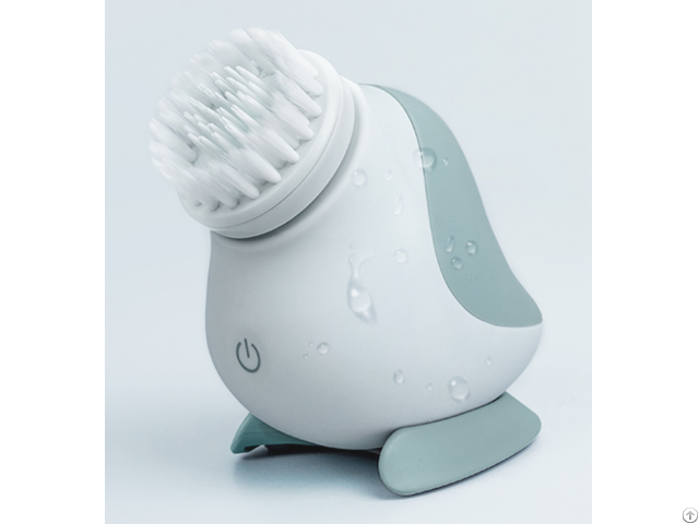 Beauty Equipment Skin Caresonic Facial Cleansing Brush