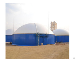 Biogas Anaerobic Reaction Digester Tank