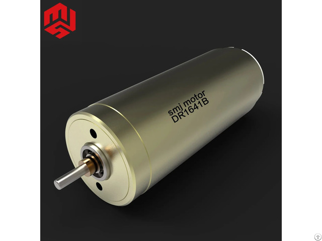 High Power Density 12v Dc Brush Servo Motor