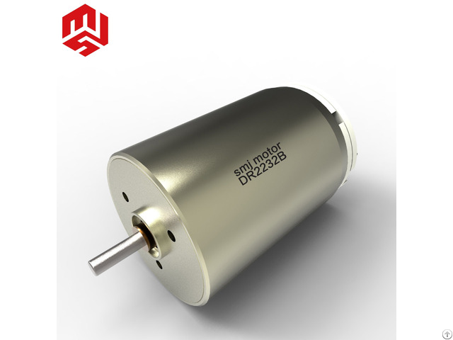 Smj Qualified Brushed Coreless Rotary Dc Motor