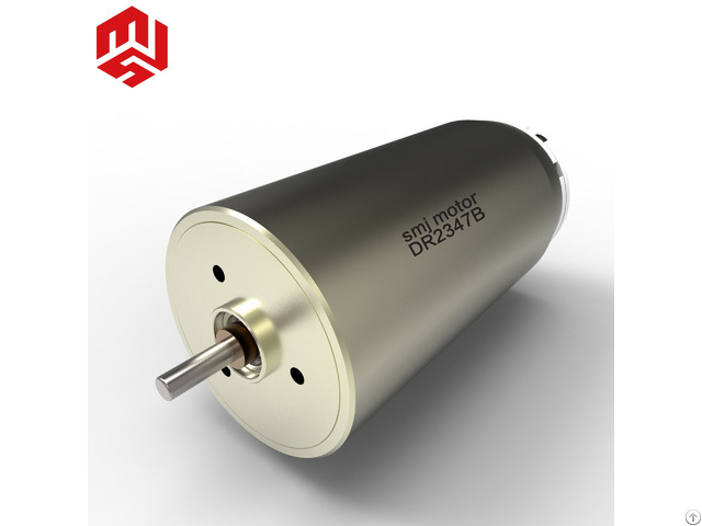 Japanese Brushed And Coreless Mini Dc 24v Maxon Motor Replacement For Healthcare Industry