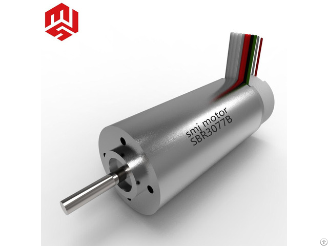 30mm Dia 48v High Torque Brushless Dc Servo Motor With Hall Sensors