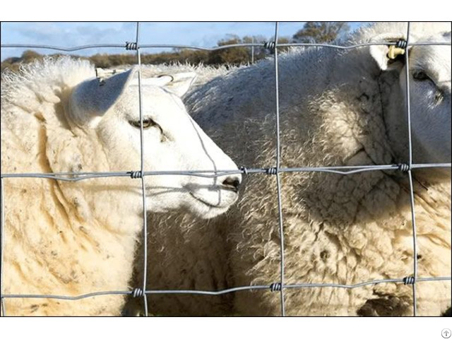 Field Fence Used To Contain Livestock