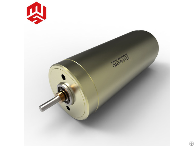 24v Long Lifetime And High Torque Permanent Magnetic Coreless Dc Motor For Precision Instrument