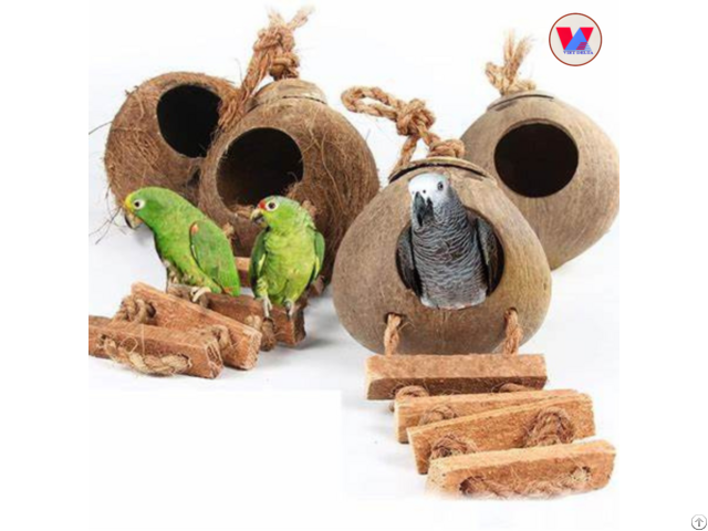 Natural Coconut Shell Bird House