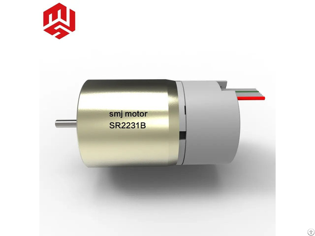 Customizable High Torque Magnetic Brushed Dc Servo Motor