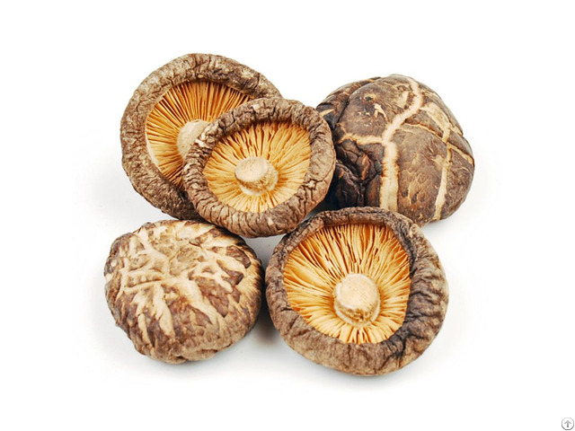 Vacuum Dried Whole Shiitake Mushrooms With High Quality