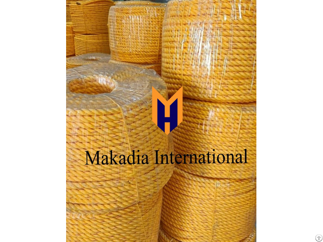 Offering Plastic Rope From Makadia International India