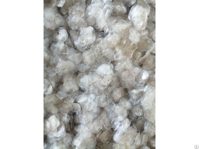 Dried Fish Scale With Good Price