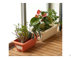 Rectangle Vegetable Plant Pots