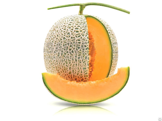 Fresh Melon From Viet Nam Sweet Natural