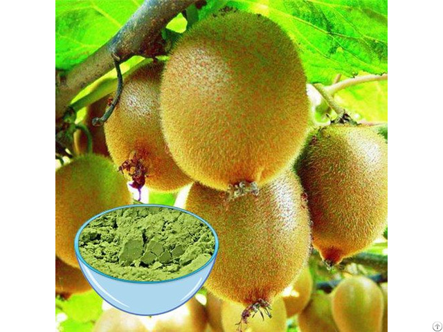 Best Kiwi Fruit Powder For Developing Drinks