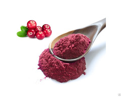 Buy Best Cranberry Fruit Juice Powder