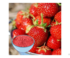 Buy Strawberry Fruit Juice Powder