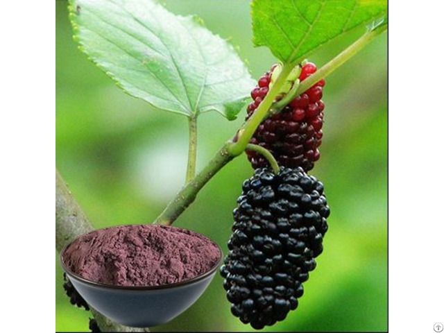 Buy Mulberry Juice Powder