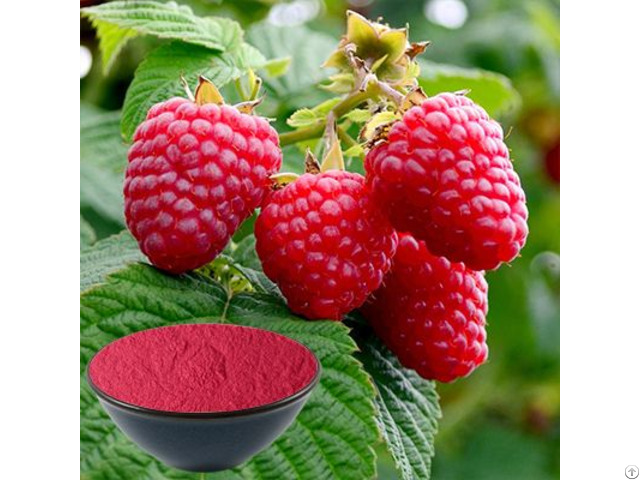 Buy Raspberry Powder