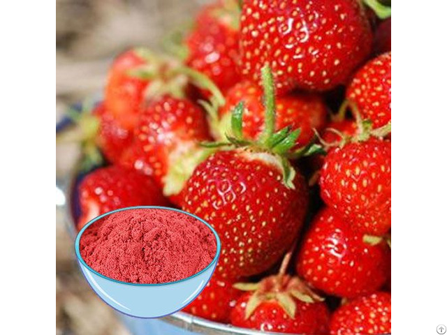 Spray Dried Fruit Powder Manufacturers