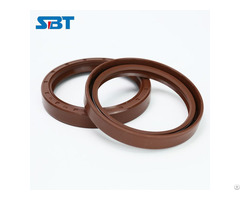 China Manufacture Sbt High Quality Wholesale Tc Nbr Oil Seal