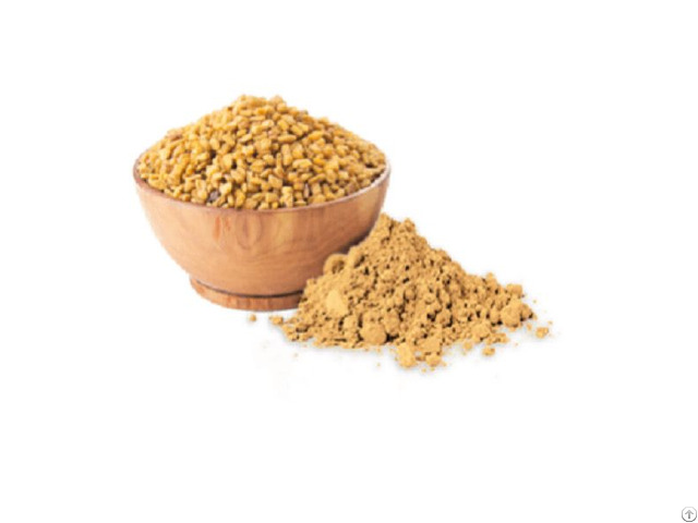 Buy Fenugreek Seed Extract