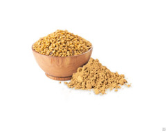 Buy Fenugreek Seed Extract